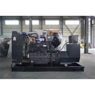 200kw上柴股份柴油發(fā)電機(jī)組-上柴股份6缸柴油機(jī)SC9D310D2柴油發(fā)電機(jī)組,缸徑/行程：135/150mm,柴油發(fā)電機(jī)組水冷發(fā)動(dòng)機(jī)功率228KW,柴油發(fā)電機(jī)組配套馬拉松斯坦福發(fā)電機(jī)。廠價(jià)直銷(xiāo)歡迎選購(gòu)：13773399855。